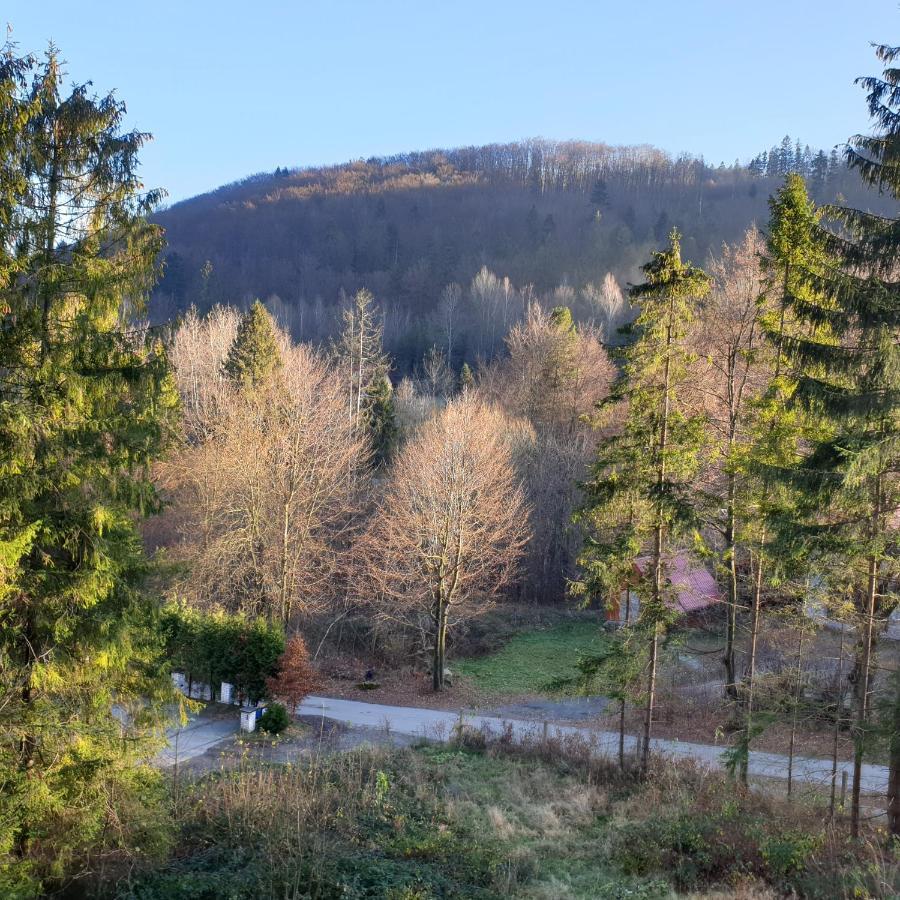 Apartment Bukowy Stok Wisla