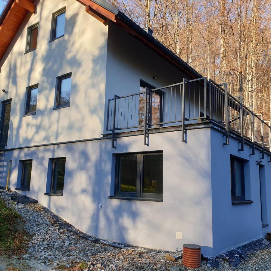 Bukowy Stok Apartment Wisla