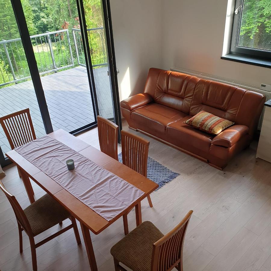Bukowy Stok Apartment *